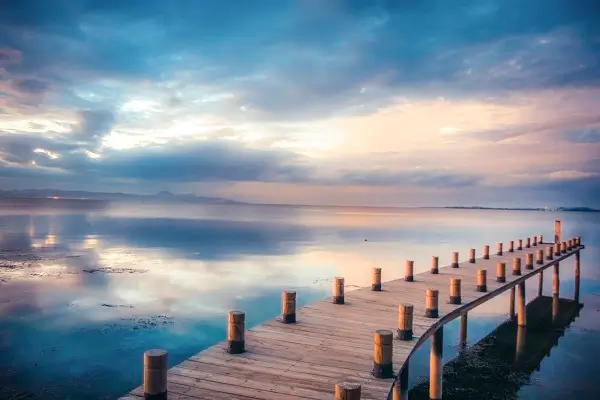 安顺小学招生学校