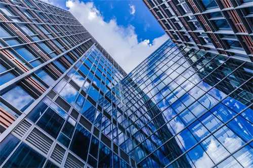 体育类本科招生条件