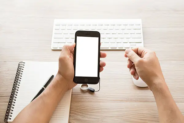 广东电网学校招生